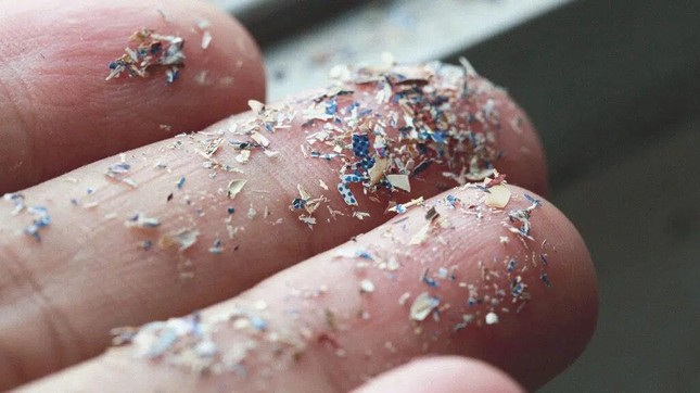 Vấn nạn vô sinh vì vi hạt nhựa ảnh 1