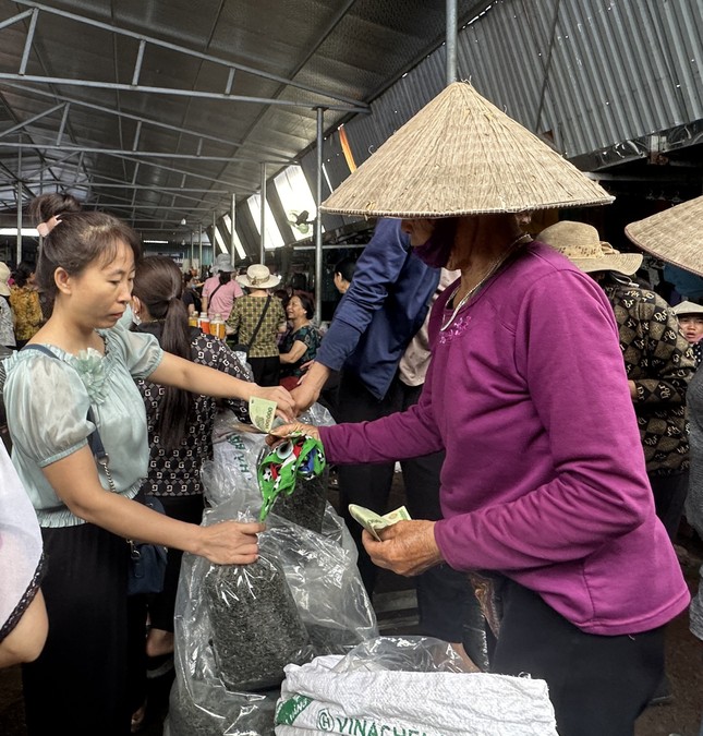 Vùng chè đặc sản Tân Cương: Đắng lòng vì chè mất giá ảnh 2