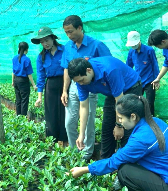 Hàng trăm thanh niên dân tộc thiểu số được hỗ trợ phát triển kinh tế ảnh 1