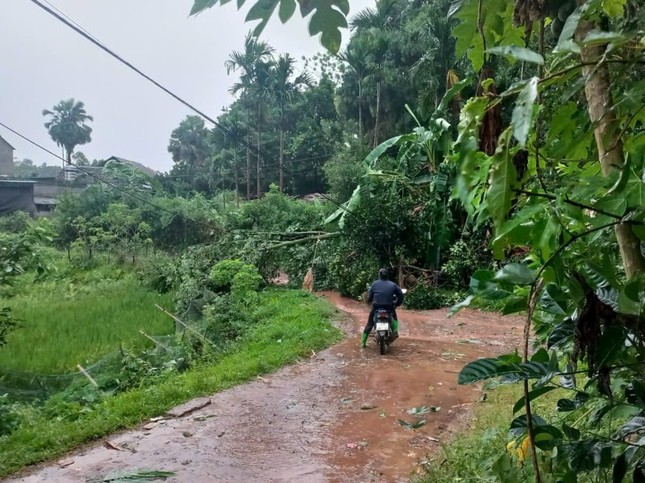 Di dời gần 500 hộ dân ở Hòa Bình, Yên Bái lên phương án di dời hơn 10.000 người để tránh bão ảnh 5