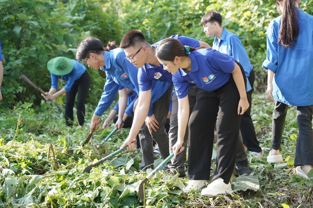 Sôi nổi các hoạt động mở màn của Chiến dịch Mùa hè xanh tại Tuyên Quang ảnh 3