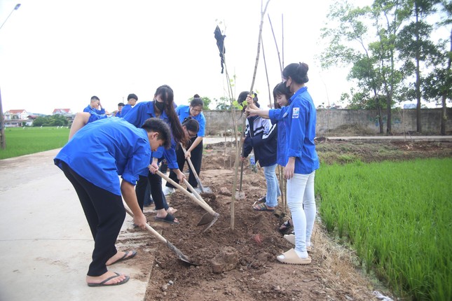 Thanh niên chung tay xây dựng cảnh quan và bảo vệ môi trường nông thôn ảnh 4