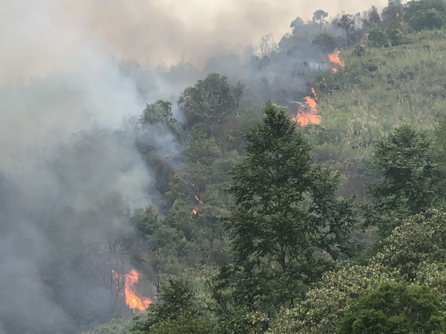 Forest fire in dry weather in Lai Chau photo 2