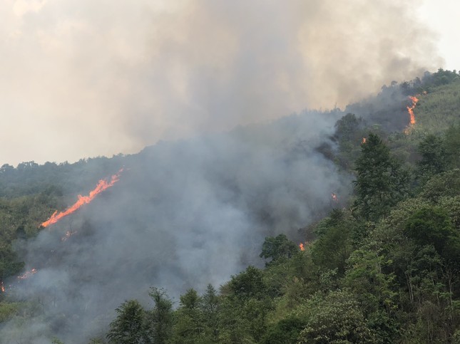 Forest fire in dry weather in Lai Chau photo 3
