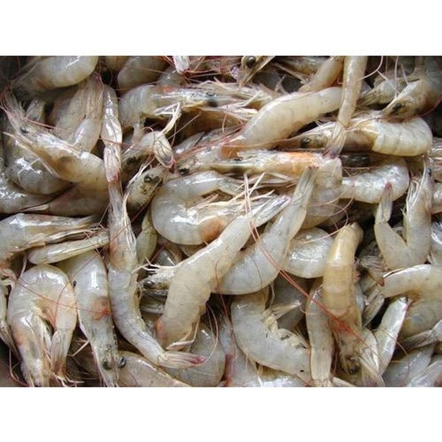 Dấu hiệu cảnh báo bệnh gout mà bạn không ngờ tới ảnh 3