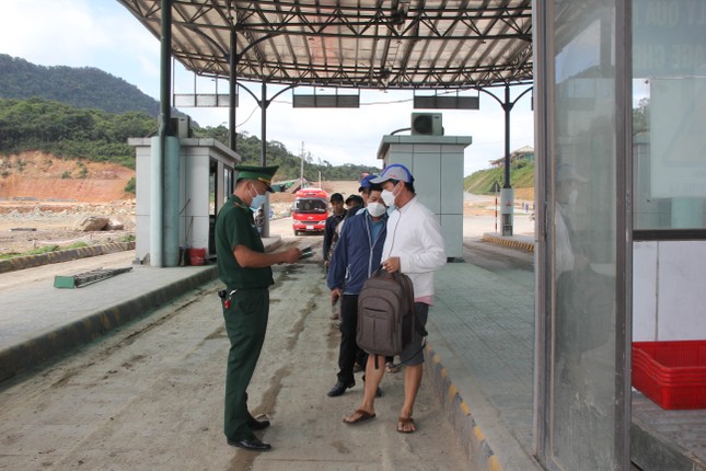 Chủ động phòng, chống bệnh than xuyên biên giới ảnh 1