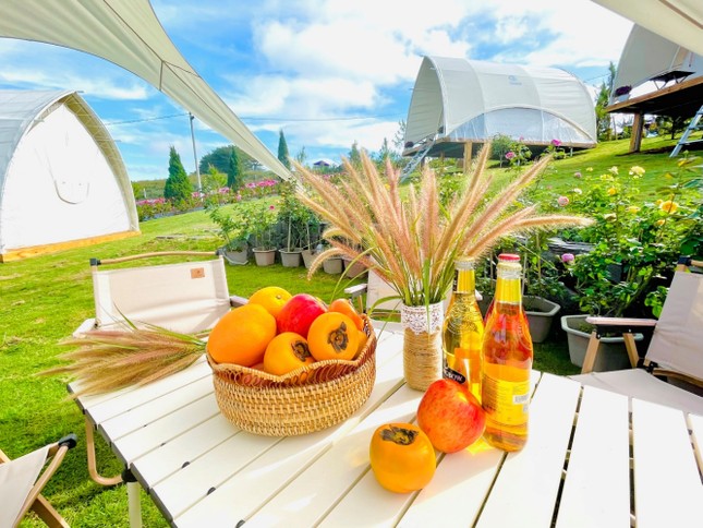 Crystal Holidays ra mắt Tổ hợp du lịch cao cấp La Fleur Glamping tại Bảo Lộc, Lâm Đồng ảnh 3