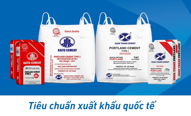 Xi Măng Xuân Thành chinh phục thị trường quốc tế bằng chất lượng 'xanh' ảnh 1