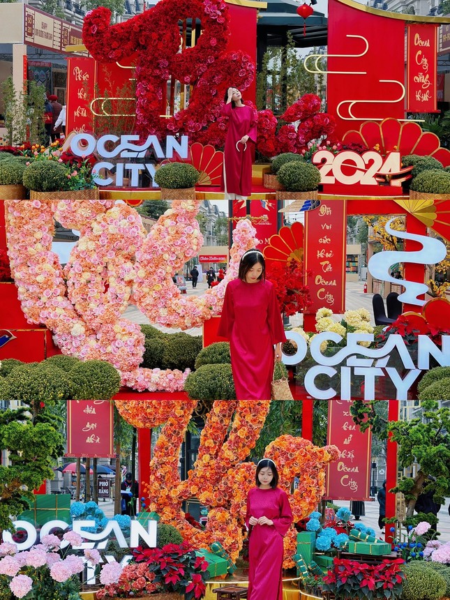Hội chợ Xuân 2024 - 'Chợ Tết Phố Hội' tại Ocean City xác lập kỷ lục Việt Nam ảnh 4