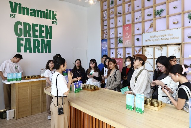 Vinamilk: doanh thu xuất khẩu quý 4/2023 tăng trưởng ấn tượng gần 20% ảnh 2