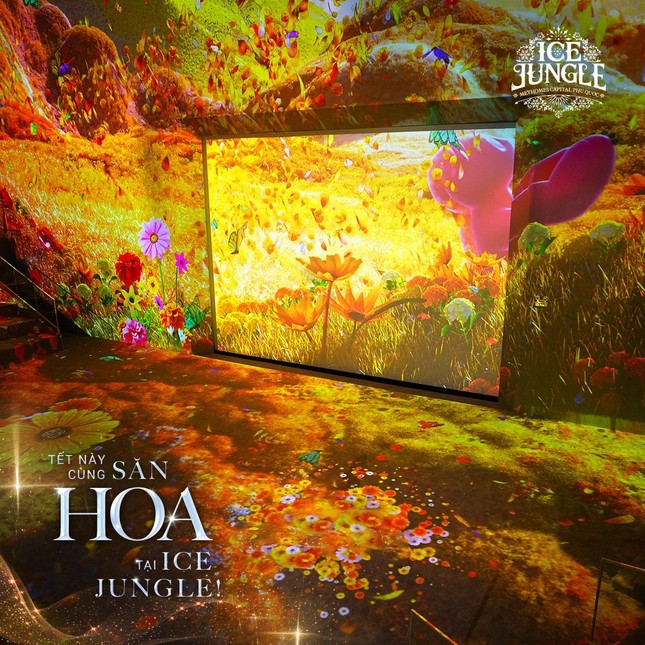 Khám phá 'Hoa Ánh Sáng' tại Ice Jungle Phú Quốc ảnh 1