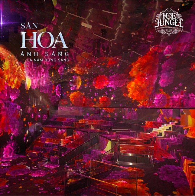 Khám phá 'Hoa Ánh Sáng' tại Ice Jungle Phú Quốc ảnh 2