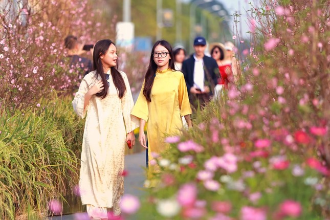 Mailand Hanoi City trên tiến trình trở thành 'Thành phố sáng tạo' ảnh 1