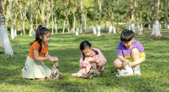 Mạng xã hội xôn xao, hỏi nhau “Bạn đã sống hạnh phúc chưa”? ảnh 5