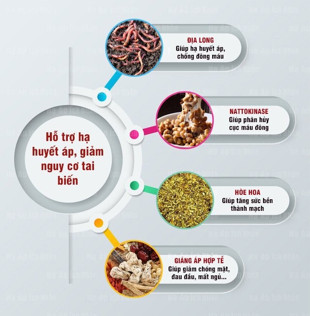 Lời khuyên từ GS. TS. BS Nguyễn Văn Thông: Đông tây y kết hợp trong điều trị cao huyết áp ảnh 2