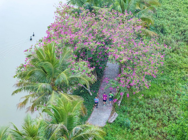 Ngồi nơi cửa nhà, nghĩ về hạnh phúc ảnh 3