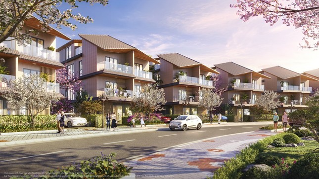 Thị trường dậy sóng khi 'bom tấn' Vinhomes Royal Island chính thức bùng nổ ảnh 2