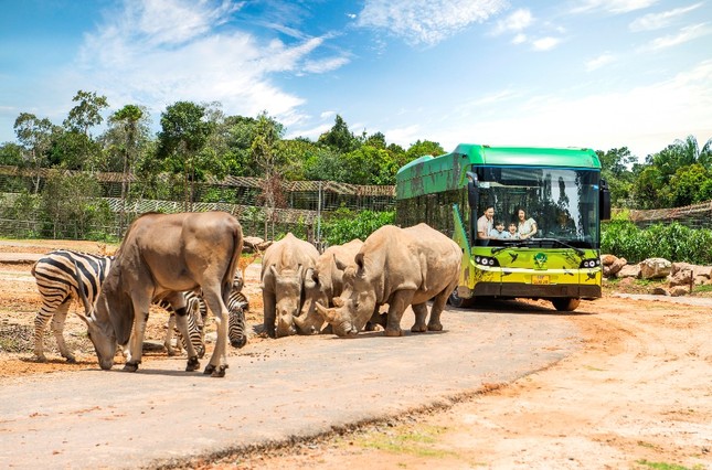 Vinpearl Safari - 'Thiên đường du lịch xanh' của Phú Quốc ảnh 4