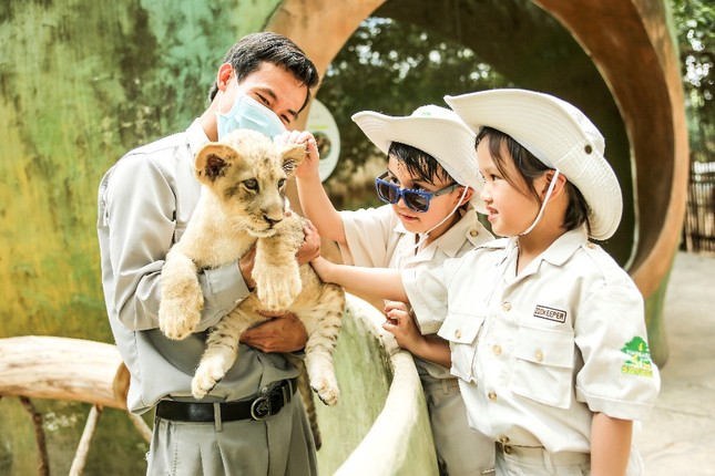Vinpearl Safari - 'Thiên đường du lịch xanh' của Phú Quốc ảnh 5