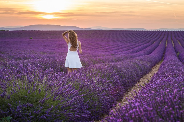 Lễ hội Balade En France – Điểm hẹn cuối tuần trải nghiệm không gian văn hóa Pháp ảnh 4