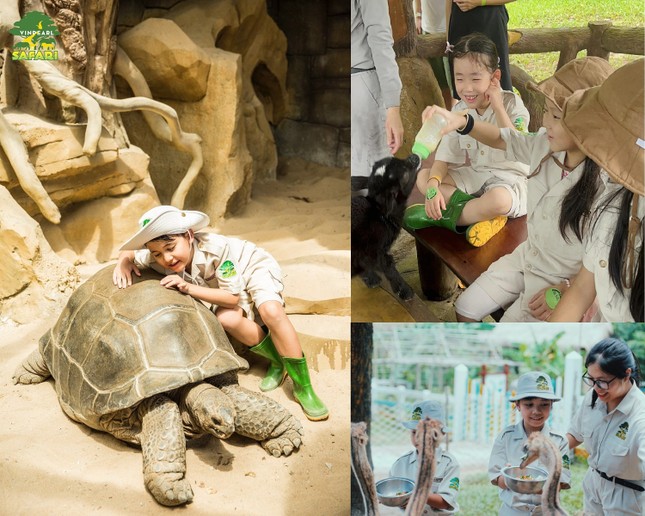 Siêu hot trải nghiệm 'nhập vai bảo mẫu nhí' cực hút khách tại Vinpearl Safari ảnh 1