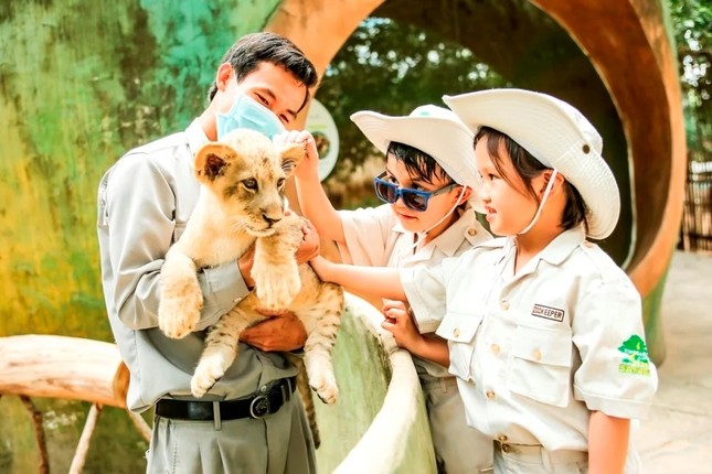 Siêu hot trải nghiệm 'nhập vai bảo mẫu nhí' cực hút khách tại Vinpearl Safari ảnh 4