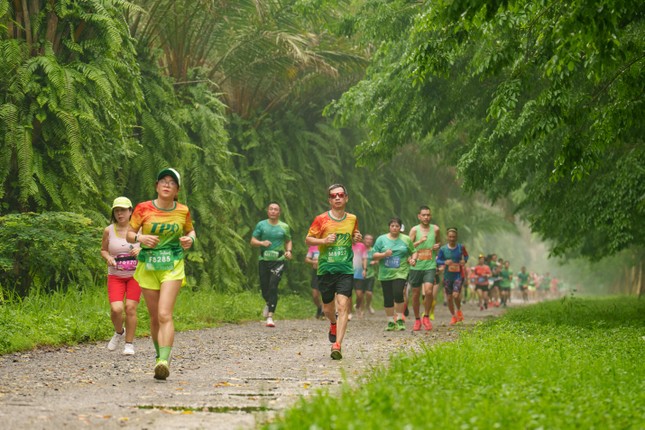 Dàn elite và gần 4000 vận động viên đổ bộ Ecopark Marathon 2024 ảnh 4