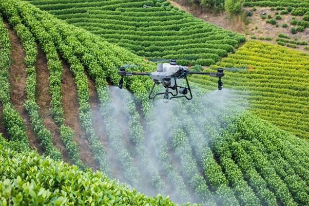AgriDrone Việt Nam ra mắt thế hệ máy bay nông nghiệp mới DJI Agras T50 và DJI Agras T25 ảnh 4