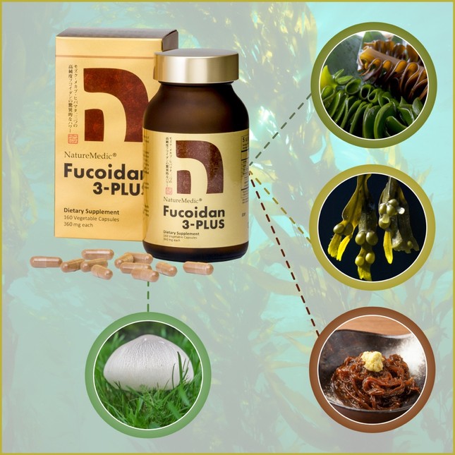 Phục hồi sức đề kháng tốt hơn khi kết hợp nhiều loại fucoidan trong cùng một sản phẩm ảnh 3