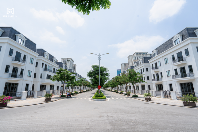 Chung cư Hà Nội neo giá cao, nhà đầu tư quay sang đất nền, nhà thấp tầng ảnh 3