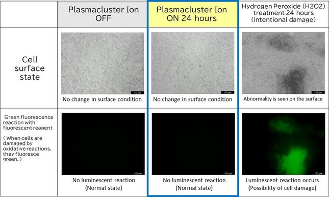 Công nghệ plasmacluster ion trong việc giảm chất nhầy trong đường thở, hỗ trợ giảm các triệu chứng hen suyễn ảnh 1