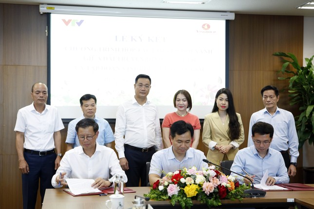 Đài truyền hình Việt Nam và Tập đoàn Vingroup hợp tác thúc đẩy chuyển đổi xanh ảnh 1