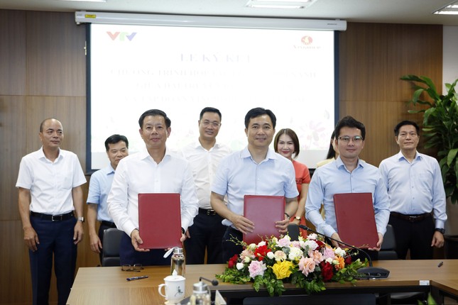 Đài truyền hình Việt Nam và Tập đoàn Vingroup hợp tác thúc đẩy chuyển đổi xanh ảnh 2