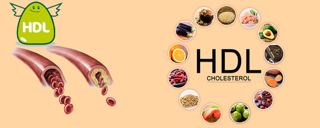 Chăm Sóc Sức Khỏe Việt - Bí quyết để loại bỏ cholesterol xấu và tăng cholesterol tốt ảnh 2
