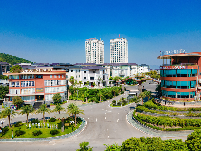Giá trị đầu tư của bất động sản hiện hữu ảnh 2