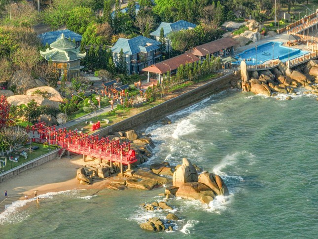Trân Châu Beach & Resort ra mắt thương hiệu và cửa hàng trà sữa Tacerla Tea House ảnh 4