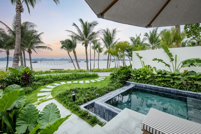 BIM Land kiến tạo chuẩn sống resort-living giữa 'ốc đảo thiên đường' Lagoon Residences ảnh 2