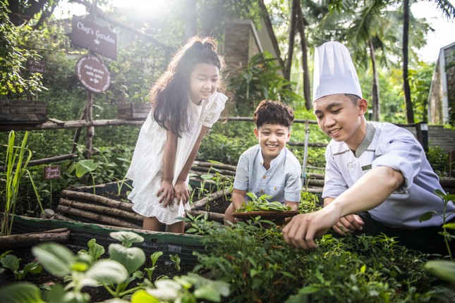 Lễ hội Vịnh ánh sáng quốc tế 2024 - Cách làm sáng tạo của Nha Trang trong công tác phát triển du lịch xanh ảnh 5