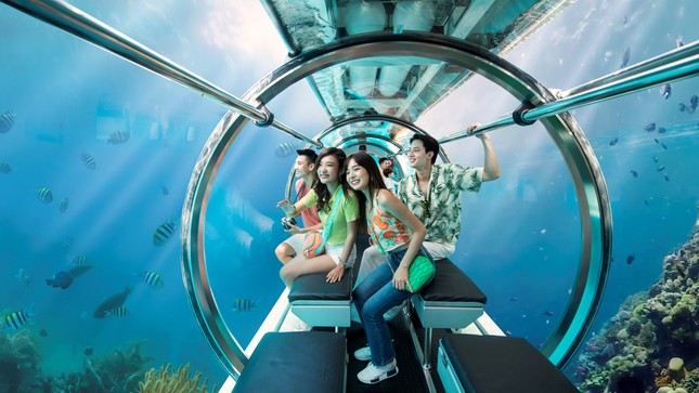 Lễ hội Vịnh ánh sáng quốc tế 2024 - Cách làm sáng tạo của Nha Trang trong công tác phát triển du lịch xanh ảnh 6
