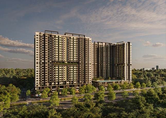 Sự vươn mình của Bình Dương ảnh 3