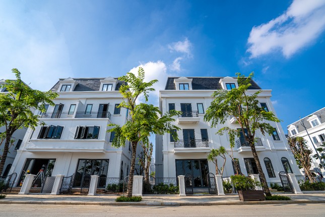 Bùng nổ tại lễ kick off dự án An Quý Villa và Solasta Mansion ảnh 4
