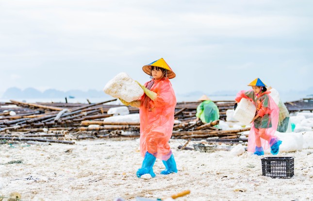 Hàng trăm phật tử trẻ Chùa Ba Vàng phối hợp cùng Thành đoàn Hạ Long dọn dẹp bãi biển Tuần Châu ảnh 5