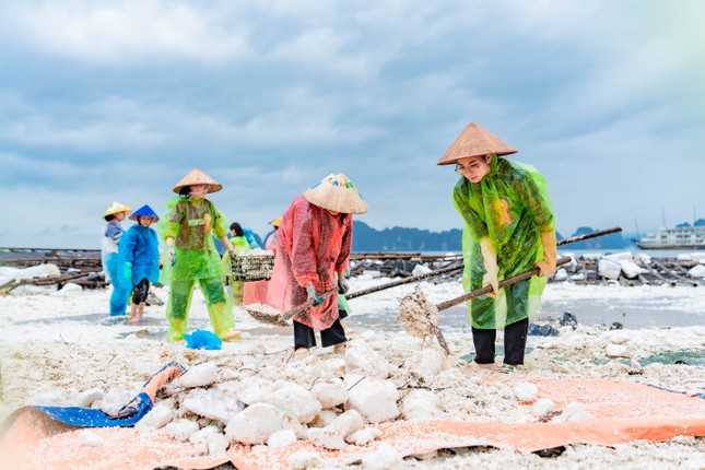 Hàng trăm phật tử trẻ Chùa Ba Vàng phối hợp cùng Thành đoàn Hạ Long dọn dẹp bãi biển Tuần Châu ảnh 6