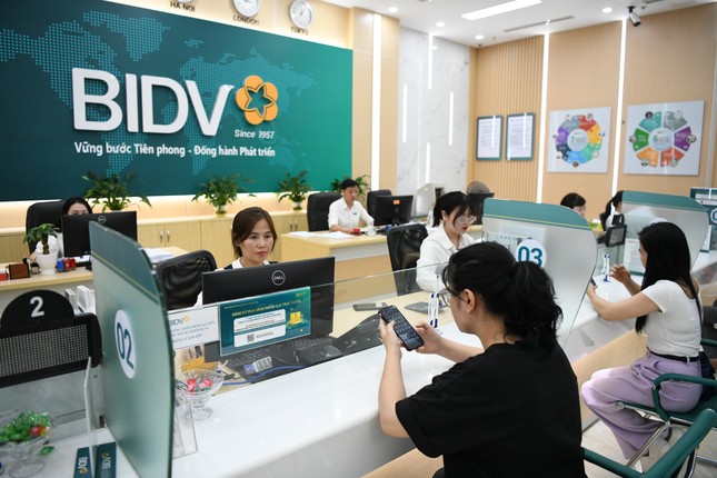 BIDV liên tục thành công trong phát hành trái phiếu bền vững, trái phiếu xanh ảnh 1