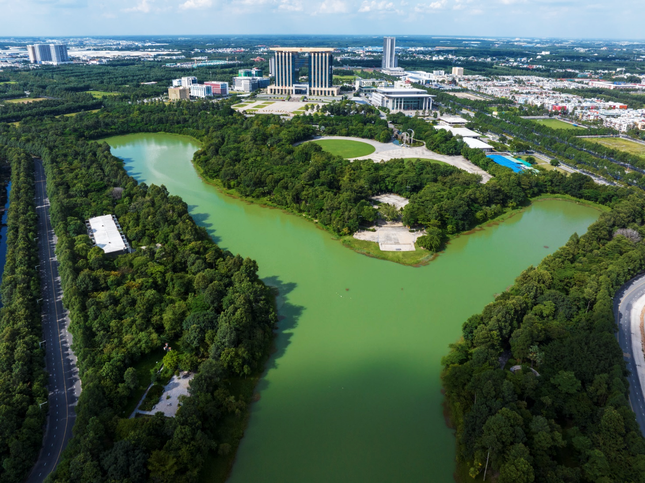 Tận hưởng cuộc sống chuẩn Singapore cho công dân toàn cầu tại Orchard Hill ảnh 1