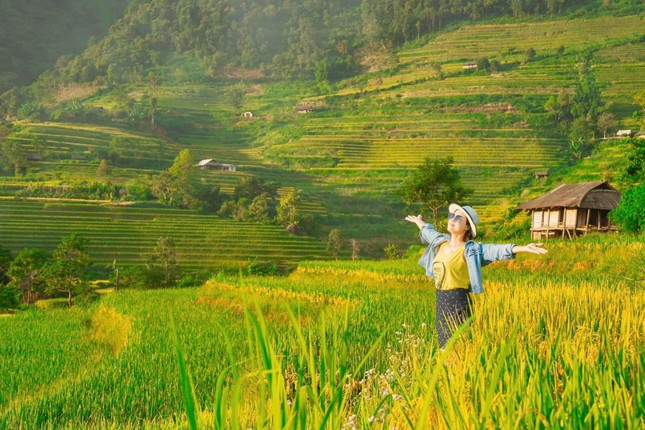 Lung linh mùa vàng trên rẻo cao Lai Châu ảnh 4