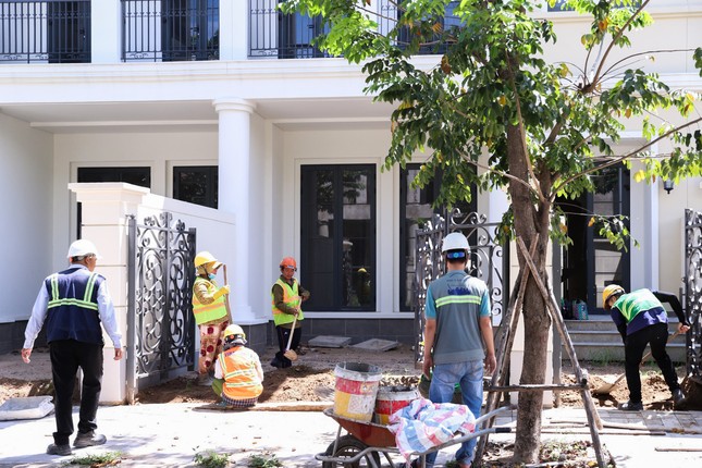 BCTC quý 3 Novaland: Nhiều chuyển động tích cực trong tiến độ xây dựng và bàn giao tại các dự án trọng điểm ảnh 2