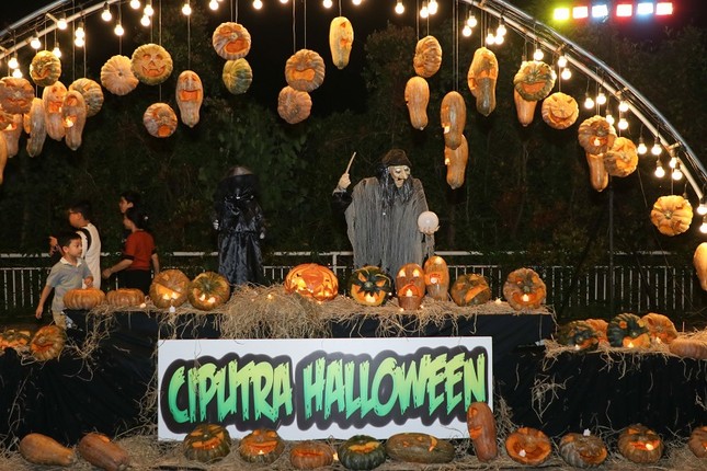 Vui cùng lễ hội Halloween Ciputra 2024 ảnh 1