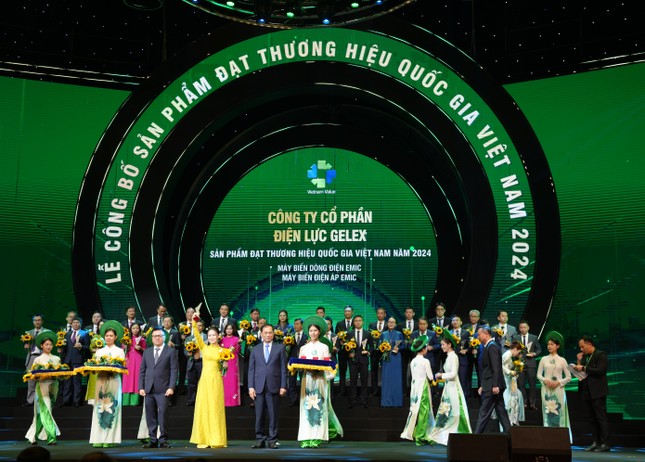 GELEX sở hữu 4 Thương hiệu quốc gia 2024 ảnh 3