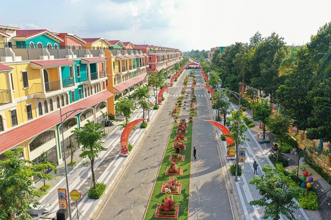 Vĩnh Long khai trương tuyến phố đi bộ tại dự án của T&T Group ảnh 3
